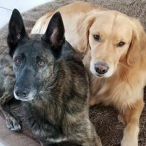 Fundraising Page: Dalice Clearwater